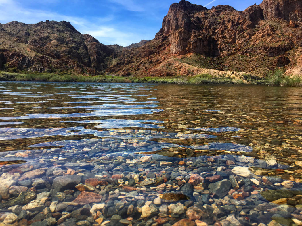 Janna Karel Las Vegas Review-Journal
The lower Colorado River, seen near Willow Beach, Arizona, was named a conservation group's most-threatened river in America.