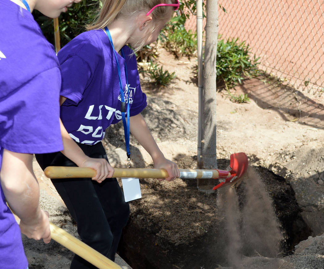 Celia Shortt Goodyear/Boulder City Review
Maddie Grimes helps plant a tree outside of the Boulder City High School softball field for Arbor Day on April 27. Her older sister, Jessica, stands by re ...