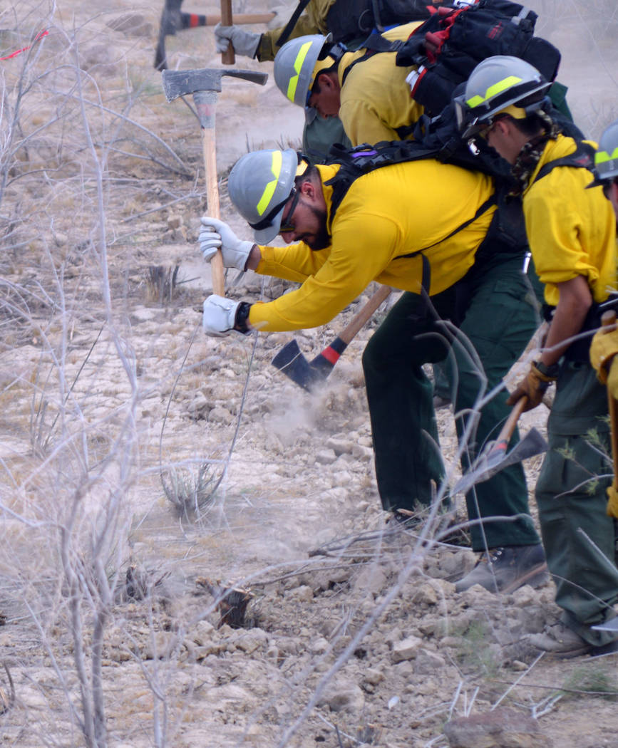 Celia Shortt Goodyear/Boulder City Review
Mariano Del Real swings a Pulaski, a special hand tool used in wildland firefighting, during his rookie training day at Lake Mead National Recreation Area.