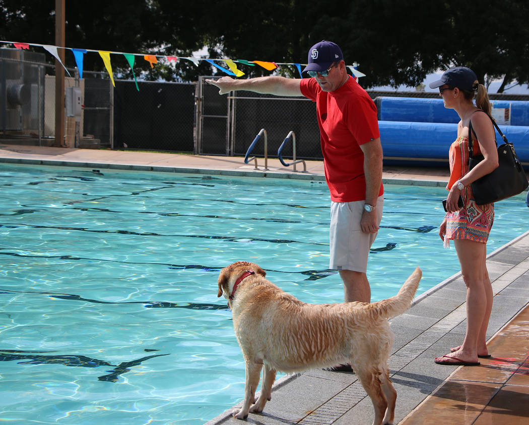 Bryce Rogers/Boulder City Review
Ed Cave gives his dog Piper some direction about fetching a toy he threw into the pool during Boulder City Pool's annual Soggy Doggy event on Saturday while Laura  ...