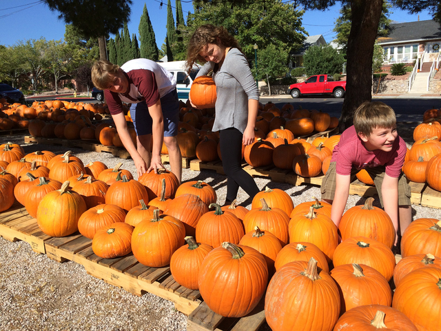 Hali Bernstein Saylor/Boulder City Review

Siblings Adam, from left, Maggie and Jack Clary search for the perfect pumpkin to carve jack-o'-lanterns on Monday at Boulder City United Methodist Churc ...