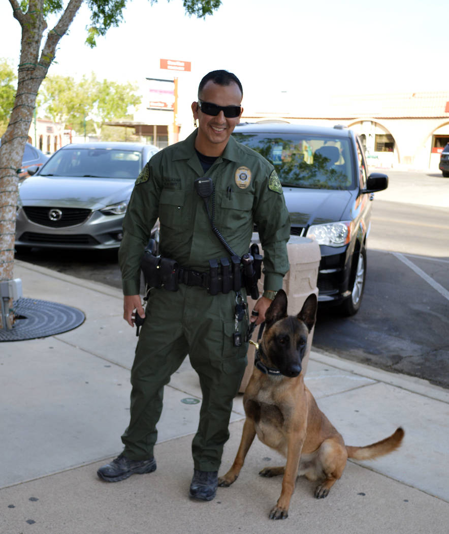 Celia Shortt Goodyear/Boulder City Review
Boulder City Police officer Armando Salazar and Lloyd, a Belgian Malinois, are the newest members of the K-9 unit at the police department.