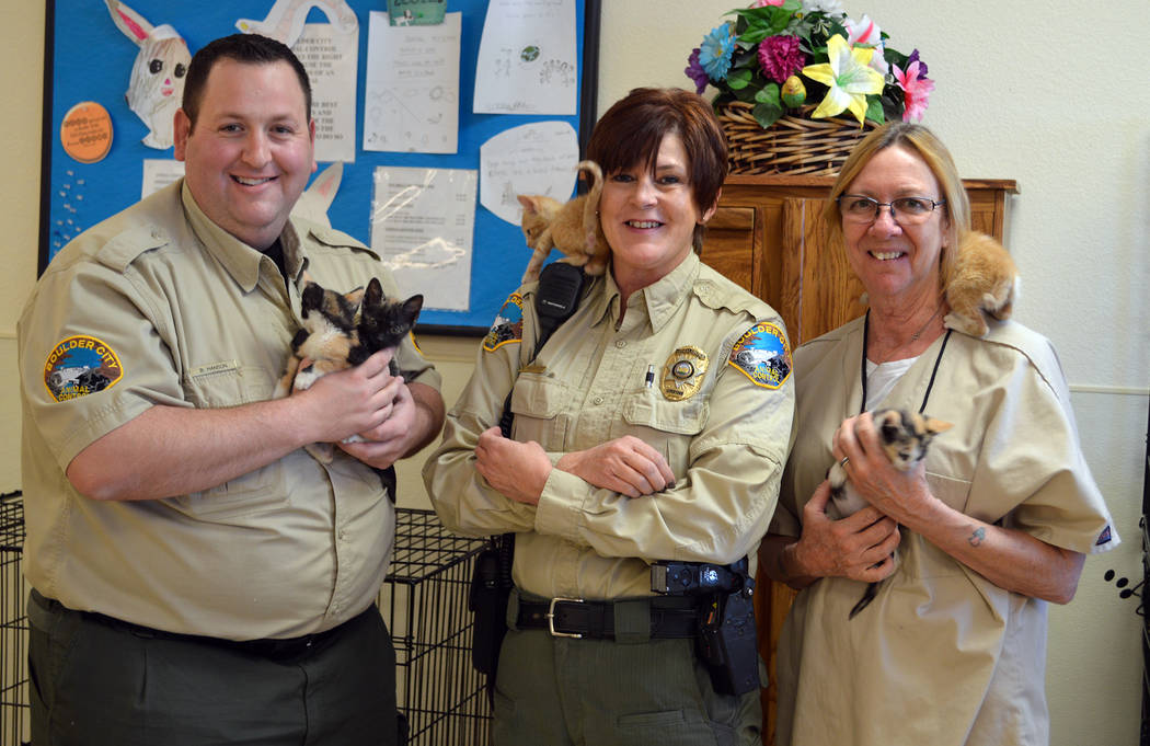 Celia Shortt Goodyear/Boulder City Review Boulder City Animal Control Supervisor Ann Inabnitt, center, has worked to make the animal shelter a no-kill facility along with the help of her staff, an ...
