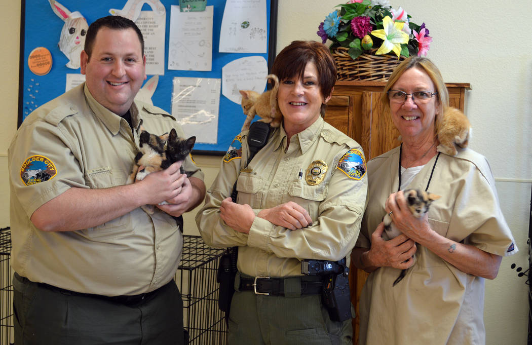 Under control Shelter supervisor puts animals’ welfare first Boulder City Review