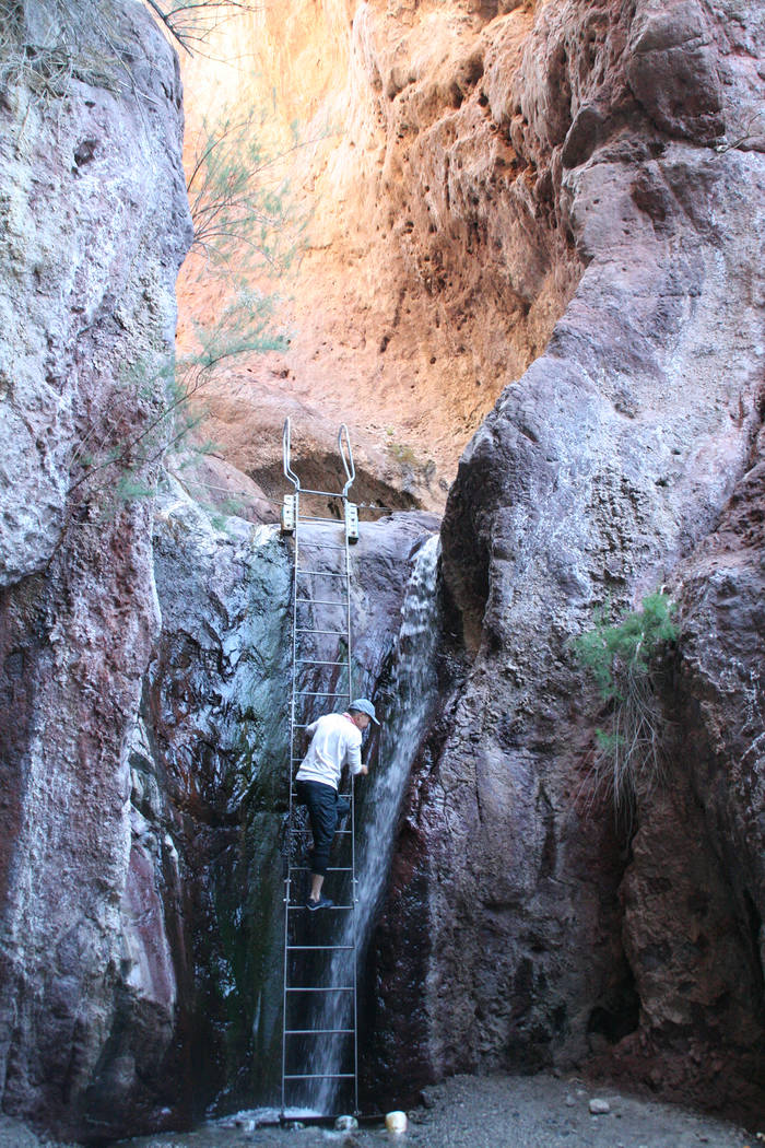 Deborah Wall Just a few minutes walk from the Colorado River you will find a ladder to access the Arizona Hot Springs.