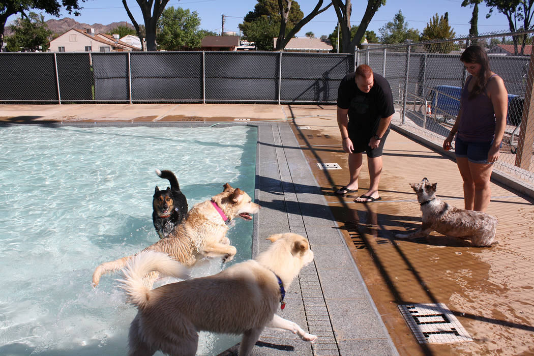 Cheree Brennan/Boulder City Parks and Recreation Department Jaren and Tricia Singleton brought their Australian shepherd Rylee to Saturday's, Soggy Doggy pool pawty at Boulder City Pool. Also enjo ...