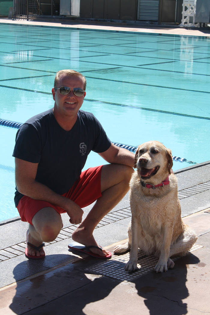 Cheree Brennan/Boulder City Parks and Recreation Department Ed Cave brought his Yellow Labrador named Piper to the Soggy Doggy event at the Boulder City Pool on Saturday.