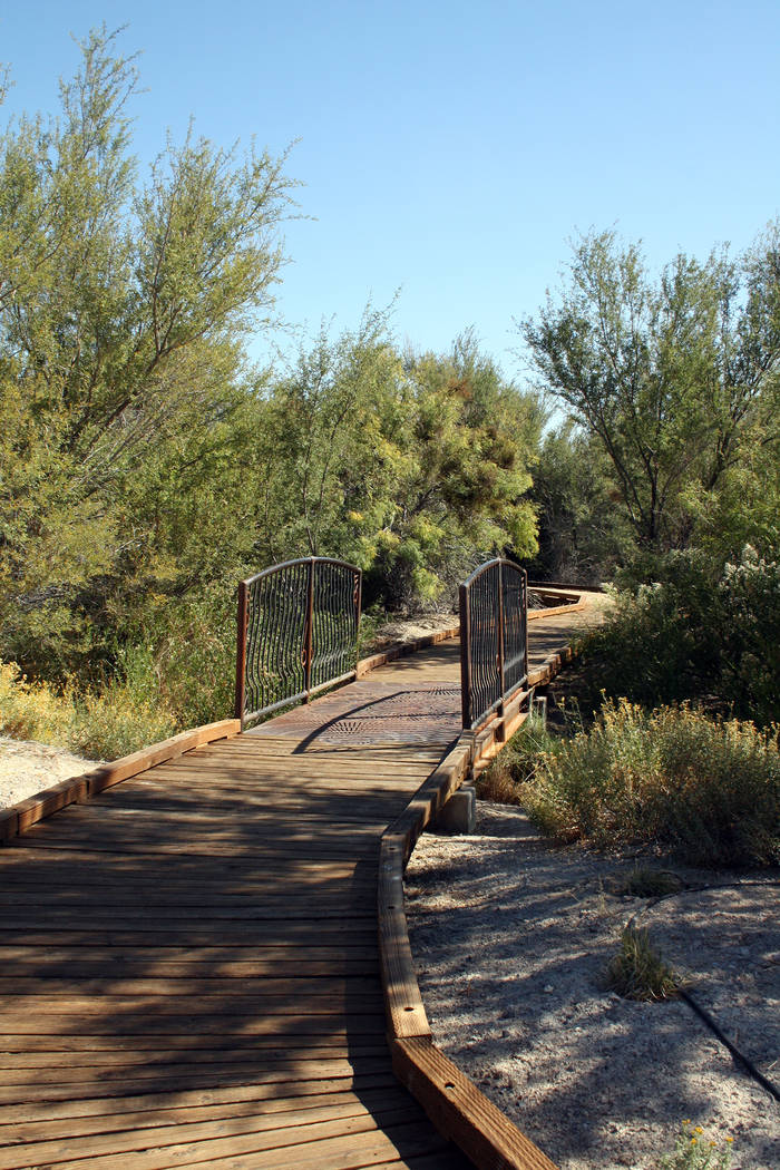 Deborah Wall Boardwalks can be found throughout Ash Meadows National Wildlife Refuge.