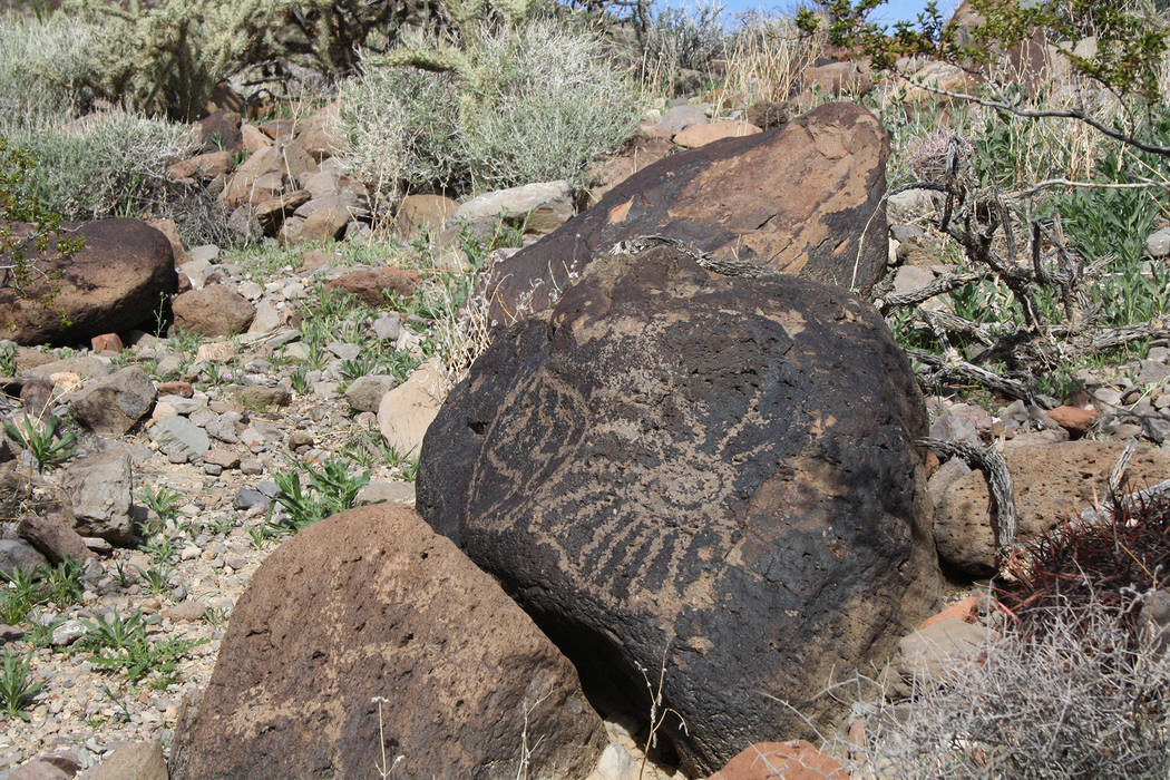 (Deborah Wall) American Indian petroglyphs can be found etched into the desert varnish on the area boulders at Fort Piute within the Mojave National Preserve in California.