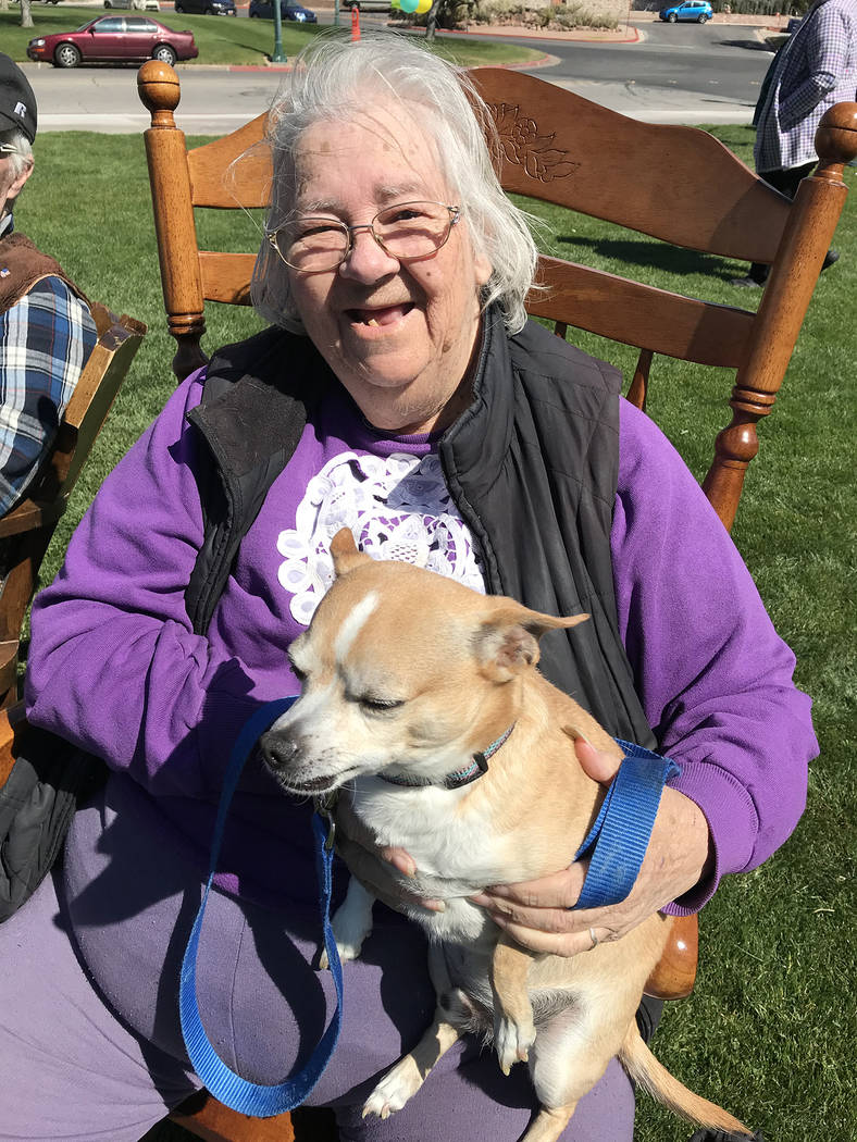 (Hali Bernstein Saylor/Boulder City Review) Caroline Martin and her dog Paco were enjoying the sunshine and entertainment at the Rock Roll & Stroll fundraiser for the Senior Center of Boulder ...