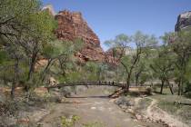 (Deborah Wall) A footbridge is used by hikers to cross over the North Fork of the Virgin River ...
