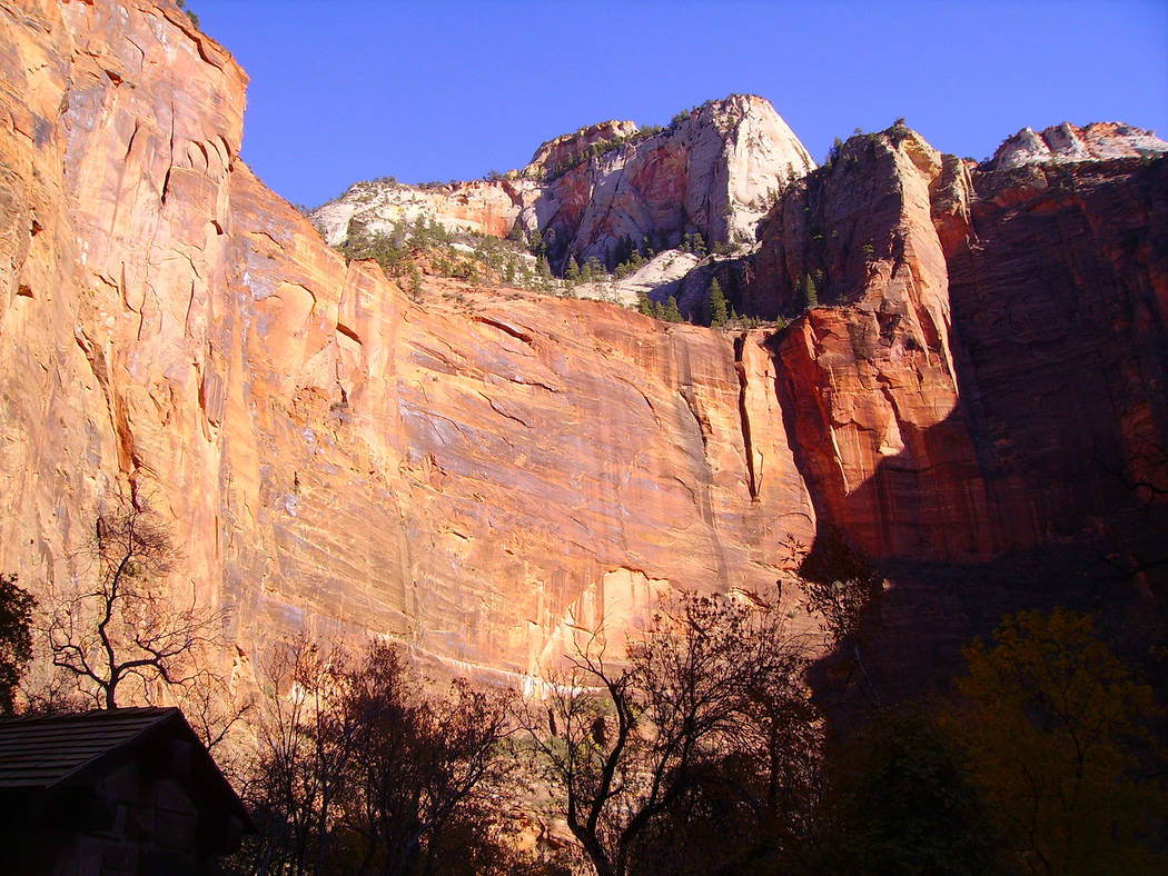 (Deborah Wall) High sandstone walls and monoliths provide a colorful backdrop along Zion Canyon ...