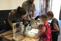 Those attending Junior Ranger Day activities at Lake Mead National Recreation Day on Saturday, ...