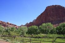 (Deborah Wall) An abundance of fruit orchards can be found within 2 miles of the main visitor c ...