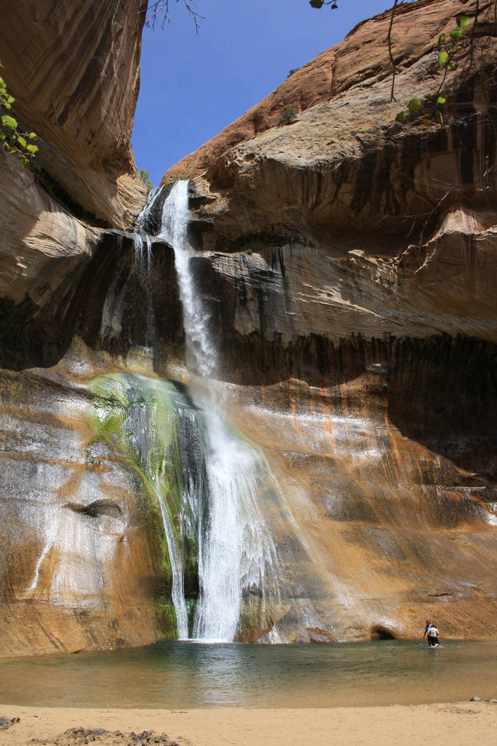 (Deborah Wall) Hikers can enjoy wading or swimming in the pool at the base of Lower Calf Creek ...