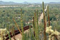 (File) A fence separating Organ Pipe Cactus National Monument, right, and Sonyota, Mexico, is s ...