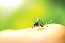 (Southern Nevada Health District) The first West Nile virus of the season was found in mosquito ...