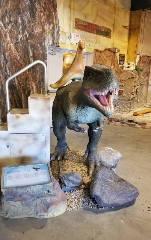 (Celia Shortt Goodyear/Boulder City Review) TJ, a tyrannosauras rex, is one of two lifesize mec ...