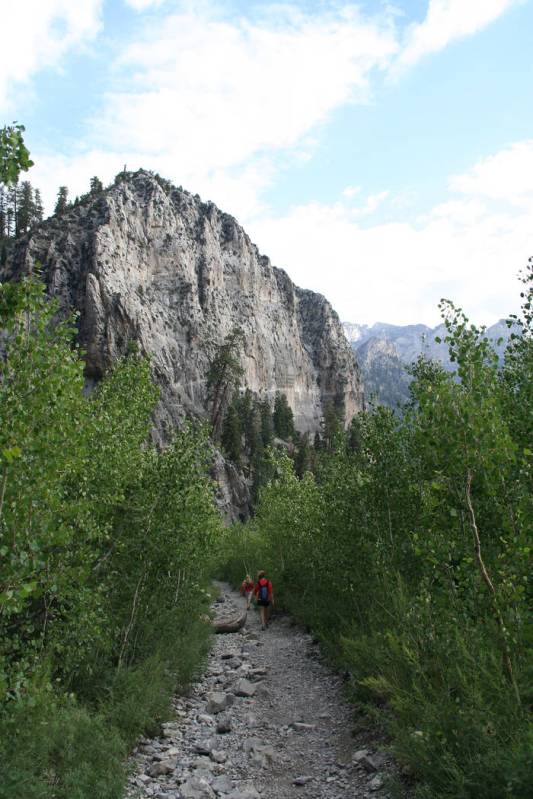 (Deborah Wall) The Cathedral Rock trail at Mount Charleston in Nevada offers a chance to hike a ...
