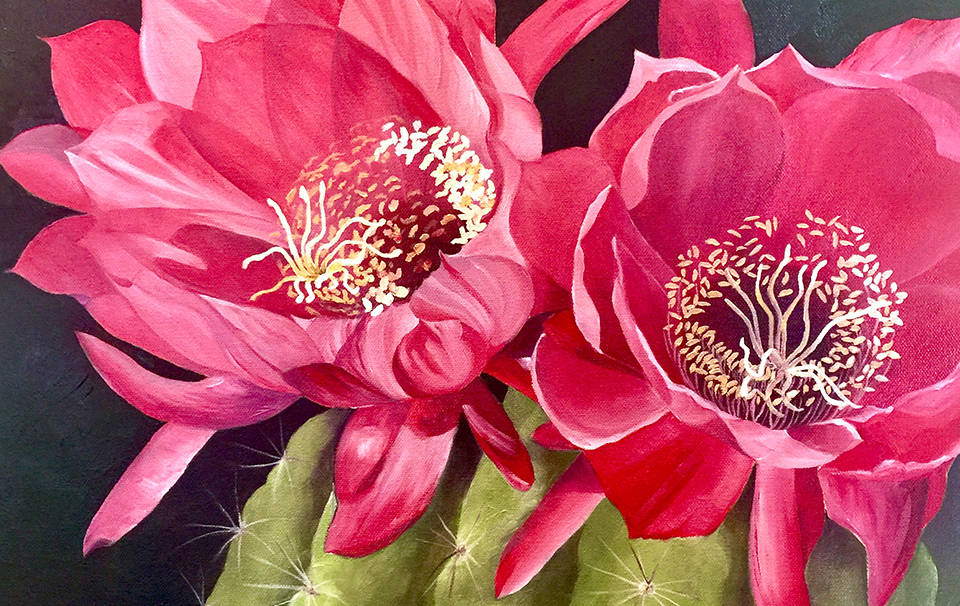 (Boulder City Art Guild) Erynn Knowles, who painted this cactus in bloom, will be among the app ...