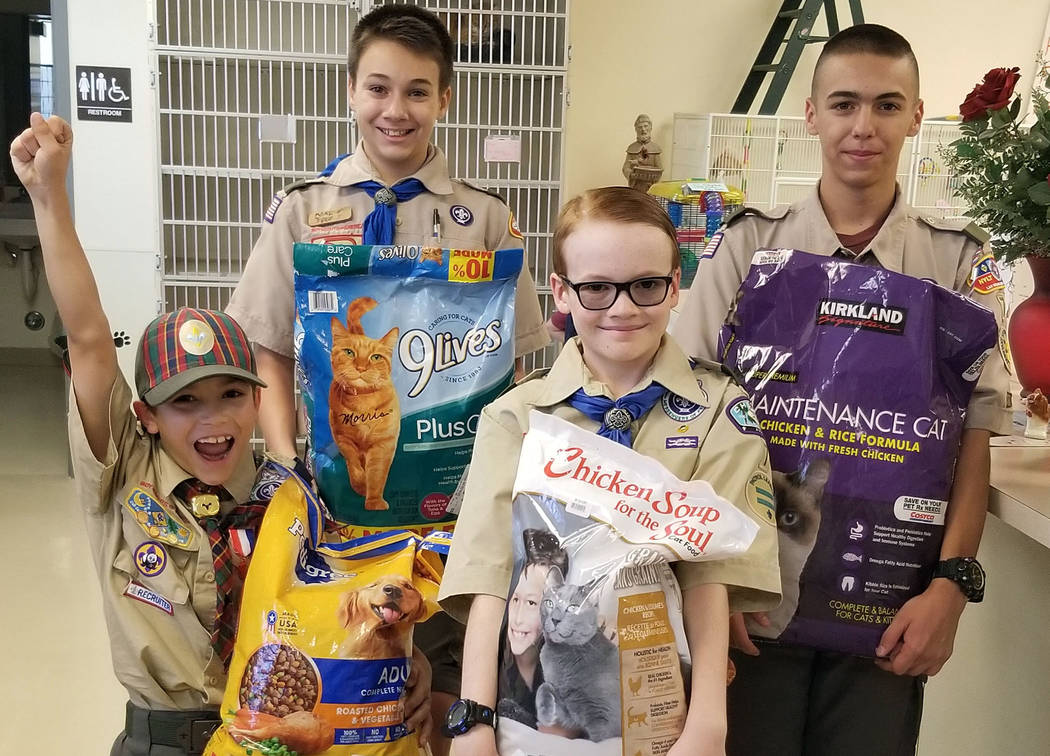 (Celia Shortt Goodyear/Boulder City Review) Boy Scout Ruger Cavasin, in back at right, delivers ...
