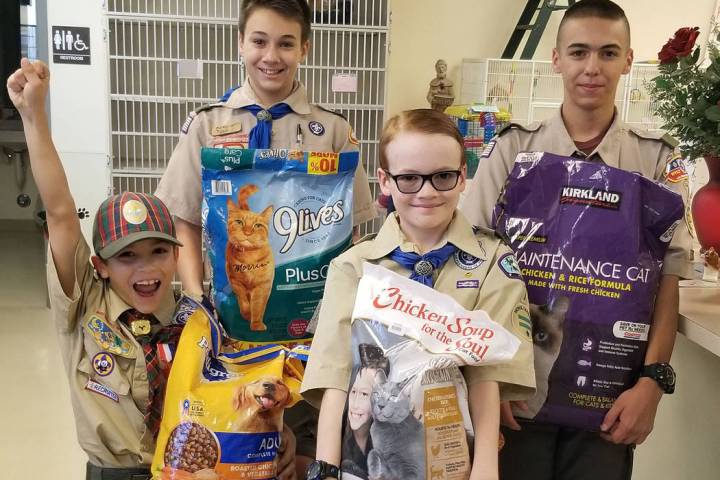 (Celia Shortt Goodyear/Boulder City Review) Boy Scout Ruger Cavasin, in back at right, delivers ...