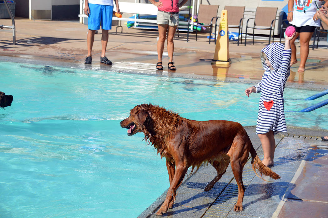 Celia Shortt Goodyear/Boulder City Review Abby Burke throws a ball into the water for her dog, ...