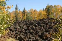 (Deborah Wall) Aspens flank an ancient lava bed near Navajo Lake on the Markagunt Plateau in so ...