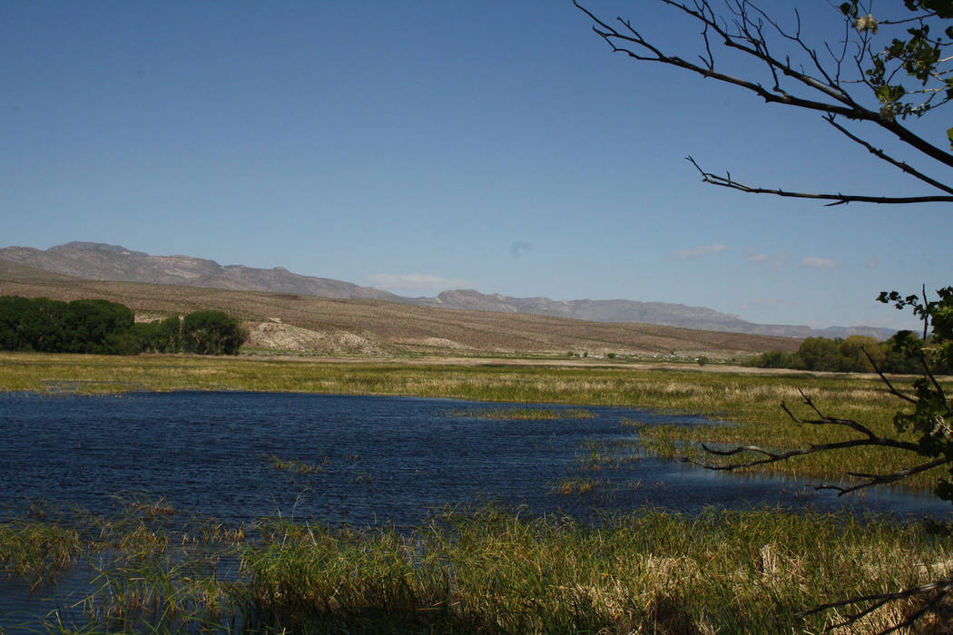 (Deborah Wall) Pahranagat National Wildlife Refuge, in nearby Lincoln County, encompasses 5,382 ...