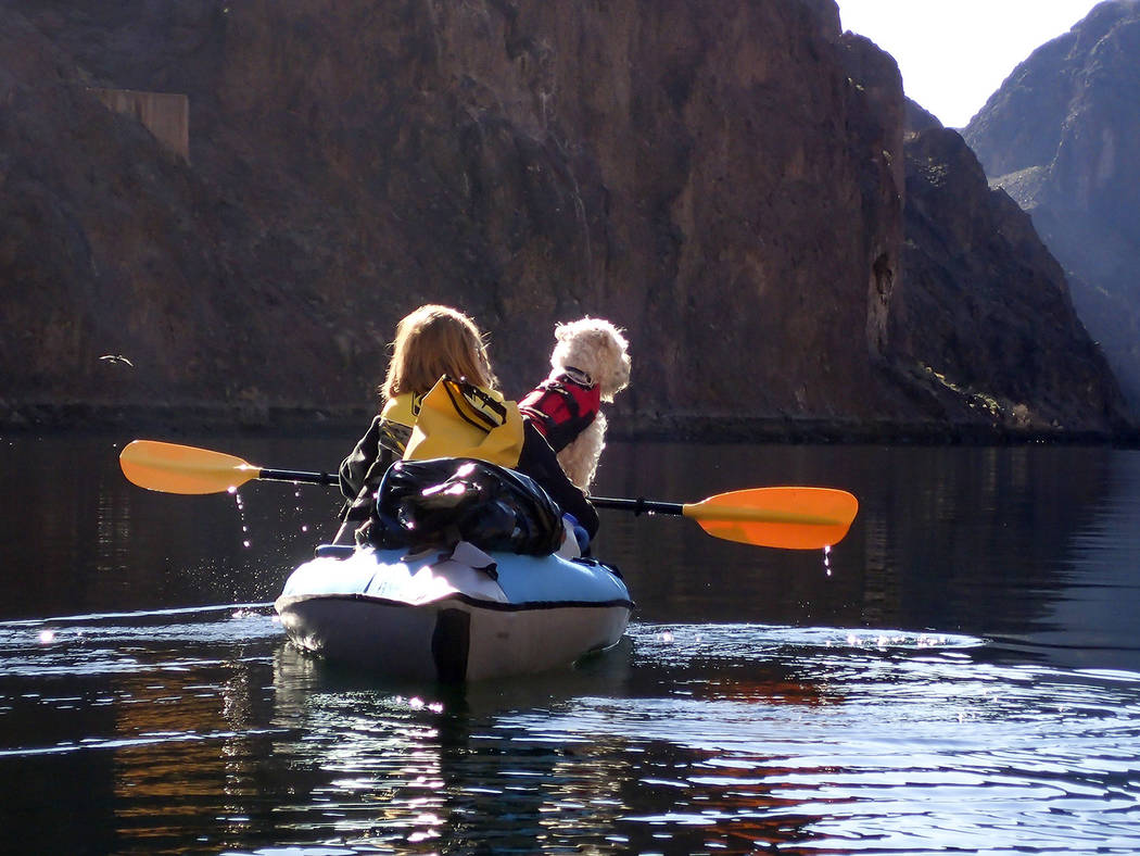 (Lake Mead National Recreation Area) Lori Curry and her dog, Creena, kayak down the Colorado Ri ...