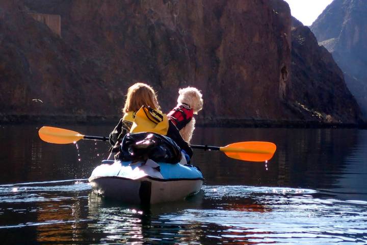 (Lake Mead National Recreation Area) Lori Curry and her dog, Creena, kayak down the Colorado Ri ...