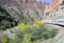 (Deborah Wall) The rich riparian environment of the Verde River in Arizona supports a variety o ...