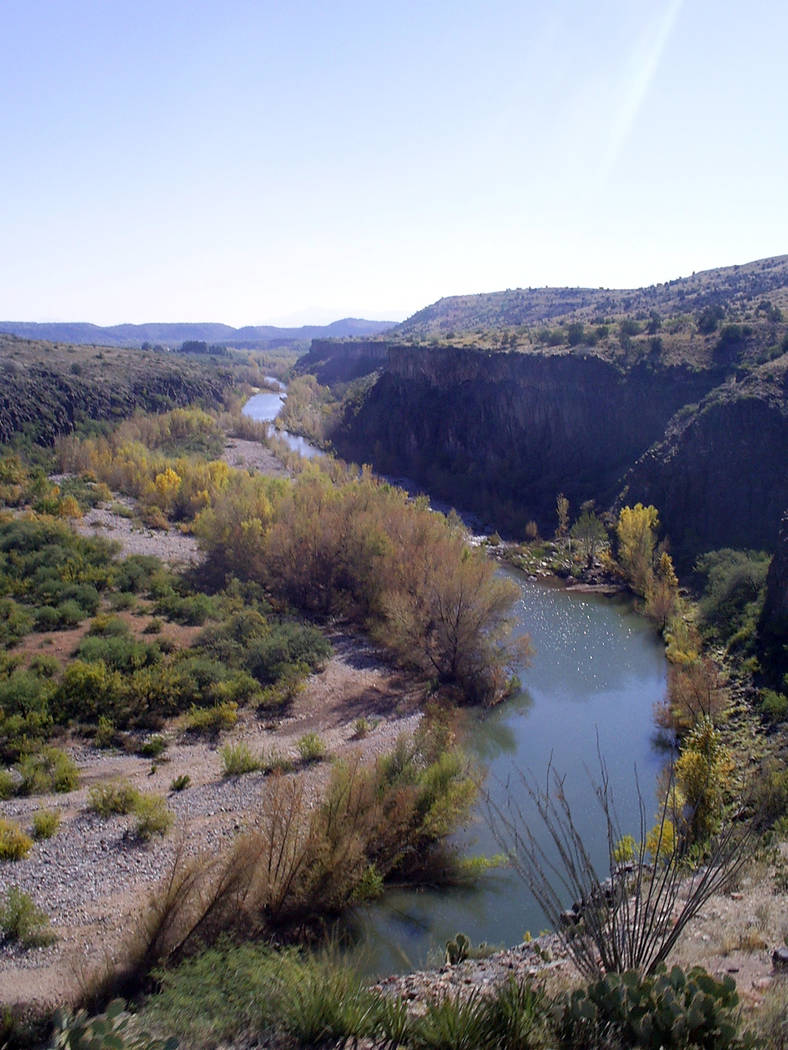 (Deborah Wall) The perennial flowing Verde River in Arizona provides a wonderful habitat for re ...