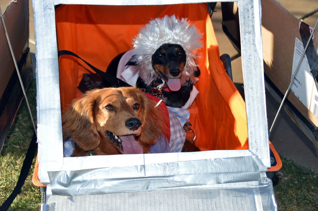 Celia Shortt Goodyear/Boulder City Review Pets also joined in with the fun at the 2019 Trunk or ...