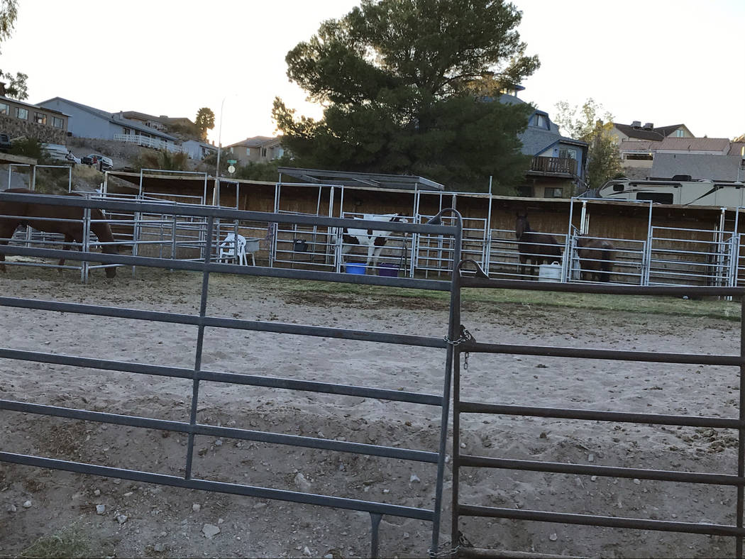 (Hali Bernstein Saylor/Boulder City Review) Several horses can been seen in their pens at the B ...