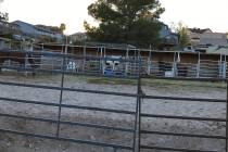 (Hali Bernstein Saylor/Boulder City Review) Several horses can been seen in their pens at the B ...