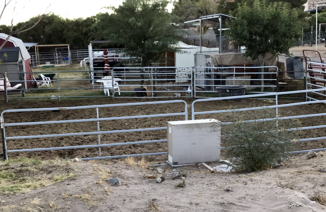 The presence of the equine herpesvirus at the Boulder City Horseman's Association was confirmed ...