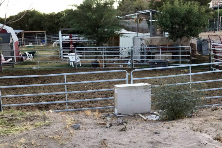 The presence of the equine herpesvirus at the Boulder City Horseman's Association was confirmed ...