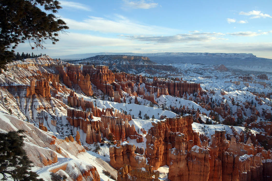 (Deborah Wall) Although named Bryce Canyon, the national park in southwestern Utah is composed ...