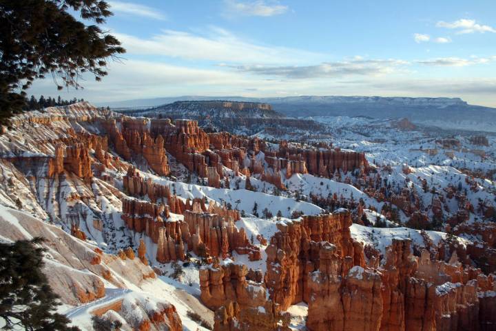 (Deborah Wall) Although named Bryce Canyon, the national park in southwestern Utah is composed ...