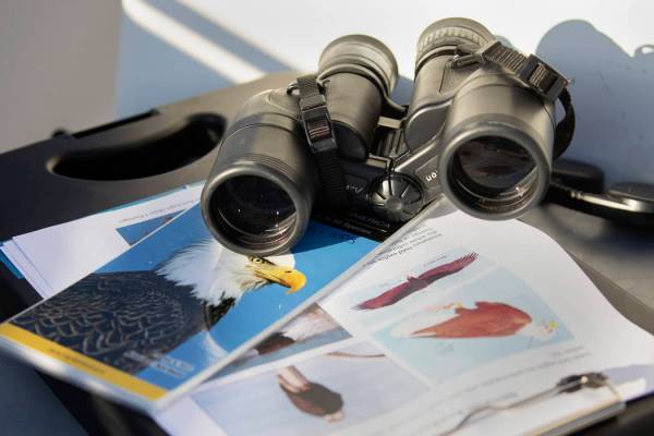 (Ellen Schmidt/Las Vegas Review-Journal) Materials to find and identify eagles sit on the boat ...