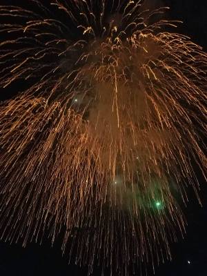 The annual fireworks show at Veterans' Memorial Park has been canceled by the Damboree Committee.