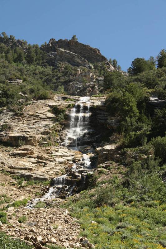 (Deborah Wall) Cascades and waterfalls can be seen throughout the 12-mile Lamoille Canyon Natio ...