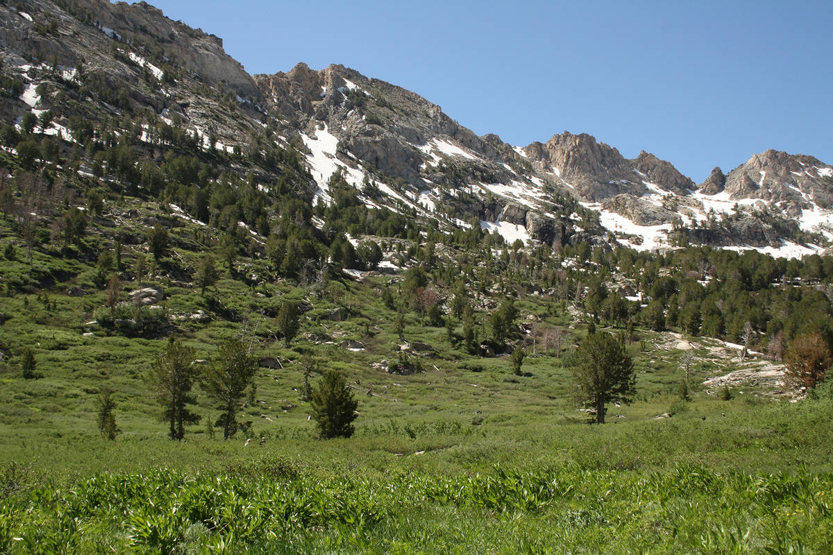 (Deborah Wall) The Ruby Mountains Ranger District in Northern Nevada encompasses 450,000 acres ...