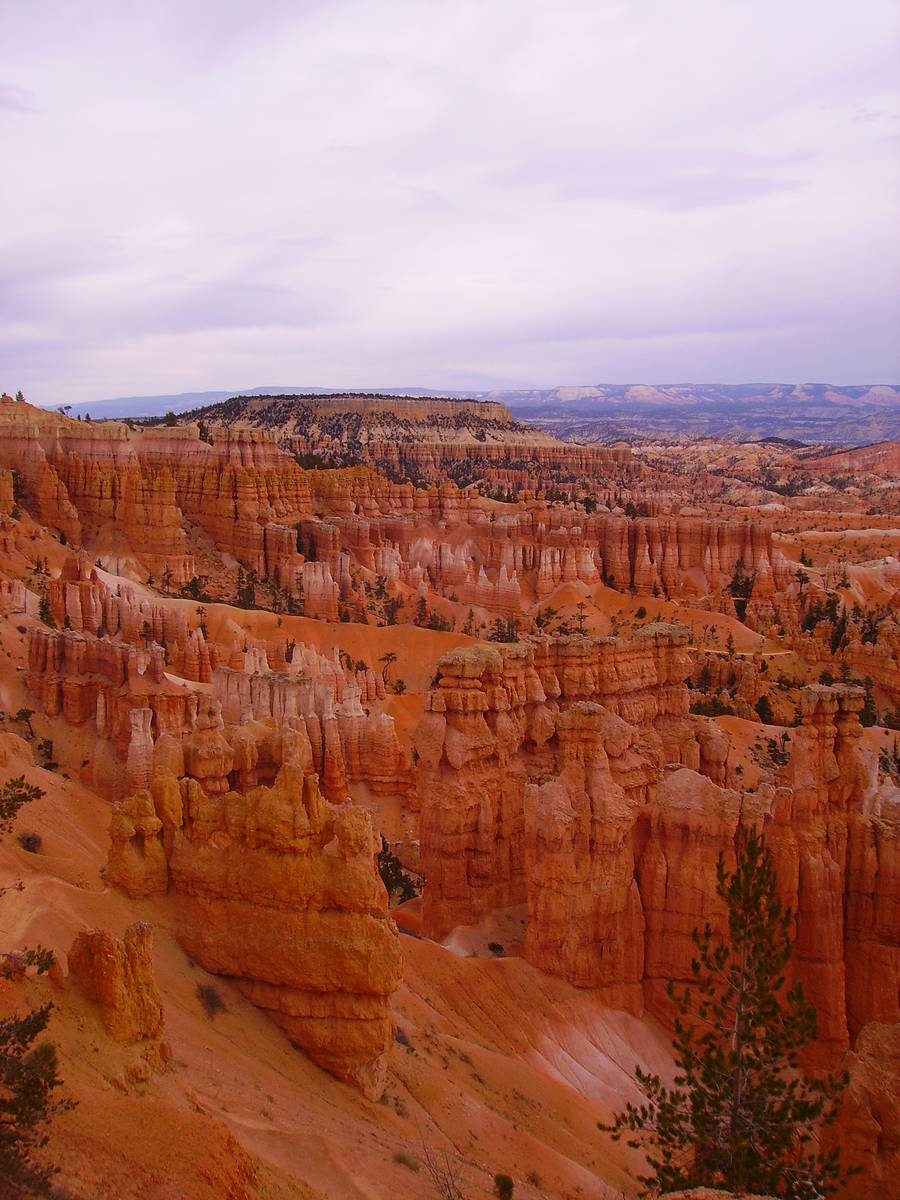 (Deborah Wall) The elevations in Utah's Bryce Canyon National Park range from 8,000 feet to 9,1 ...