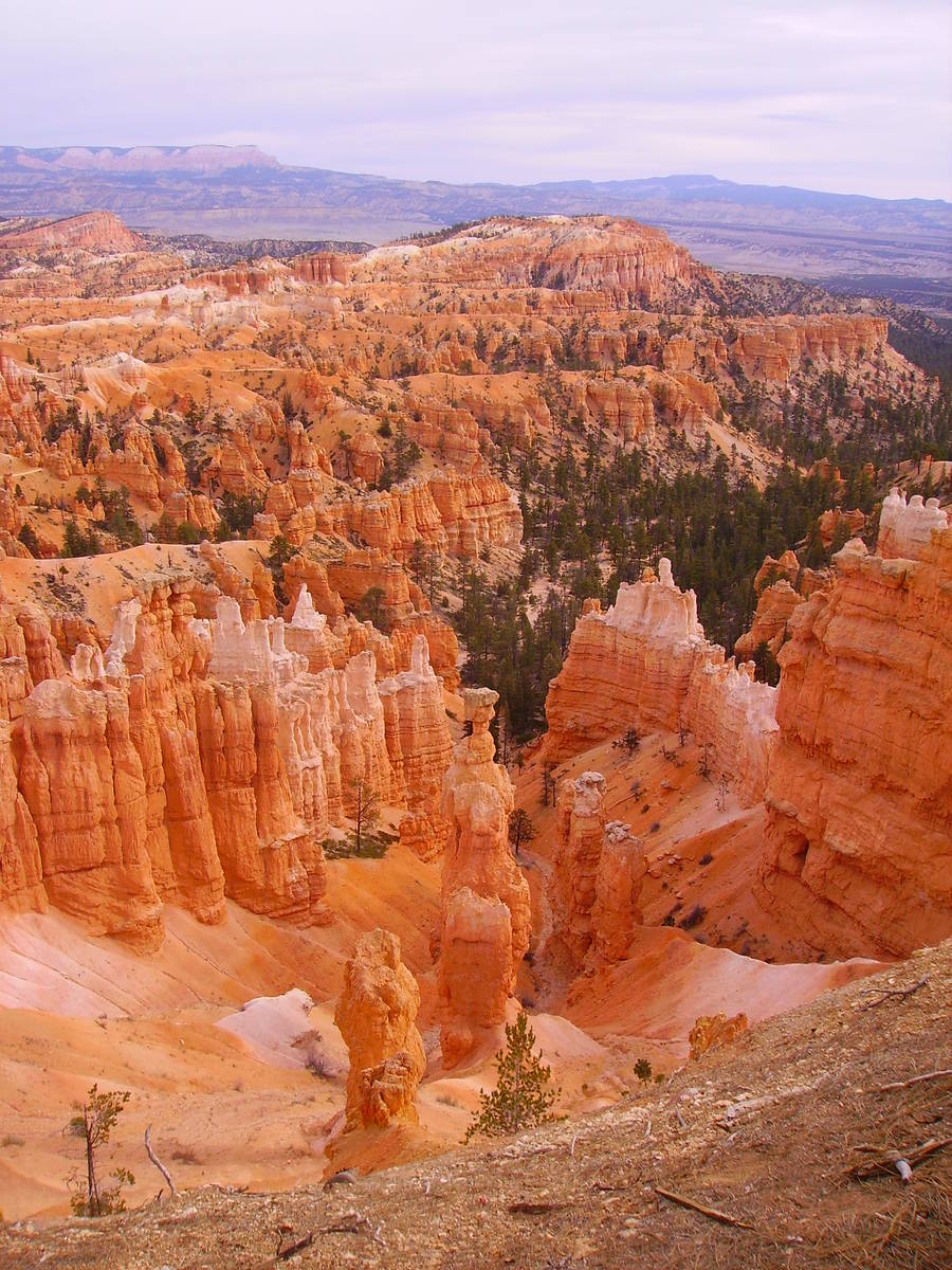 (Deborah Wal) While it’s called Bryce Canyon, the Utah park is made up of about one dozen nat ...