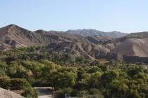(Deborah Wall) From the Mesa Trail, hikers get a great bird’s-eye view of China Ranch Date Fa ...