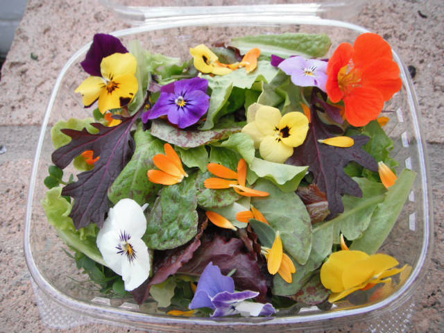 (Herbs by Diane) A salad mix featuring greens and edible flowers is among the items offered by ...