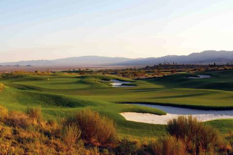 City Council members voted Tuesday, Jan. 26, to seek proposals for maintenance contracts at the ...