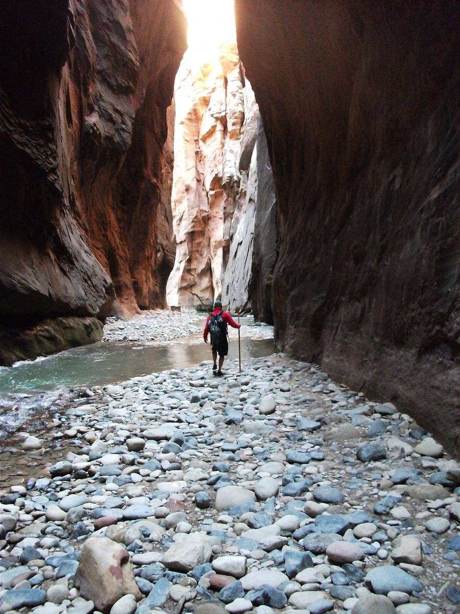 (Deborah Wall) The Zion National Park Forever Project offers workshops, field programs and serv ...